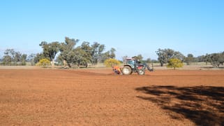 2856 Olympic Highway Wagga Wagga NSW 2650