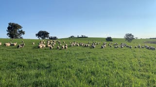 Dicksons, 0 Bennett Springs Road Cowra NSW 2794