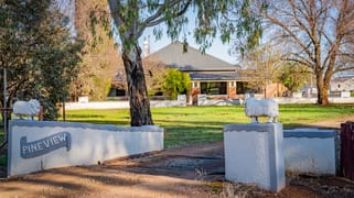 'Pineview', 1440 Coolamon Road Mimosa NSW 2666