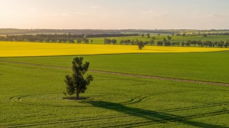 'Green Hills' 146 Seventeen Mile Mail Road Marrar NSW 2652