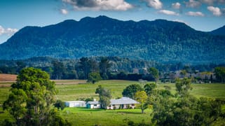 1531 Waterfall Way Bellingen NSW 2454