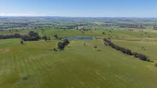 Clunes Dam, Islands Road Cowra NSW 2794 Clunes Dam, Islands Road Cowra NSW 2794