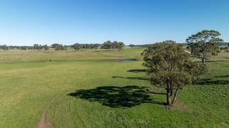 5016 New England Highway Guyra NSW 2365