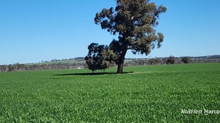 . Mattingly Road Brookton WA 6306