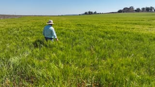 2284/ Garthe Road Aubigny QLD 4401