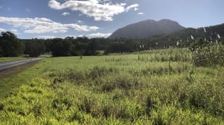 Lot 2 Yakapari-Seaforth Road Mount Jukes QLD 4740