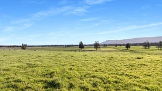 591 Coolangatta Road Berry NSW 2535