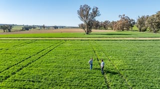 Bumbaldry Road Greenethorpe NSW 2809