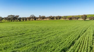 Bumbaldry Road Greenethorpe NSW 2809