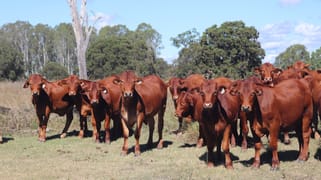 789 Coppin Road Mungungo QLD 4630 789 Coppin Road Mungungo QLD 4630