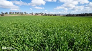 "Bellmain" Renshaw McGirr Way Yeoval NSW 2868