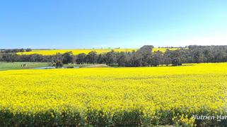 1606 Wingebellup Road Frankland River WA 6396