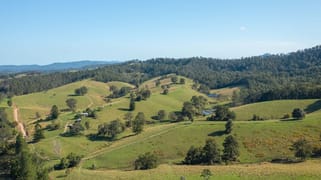 353 Rhones Creek Road Talarm NSW 2447