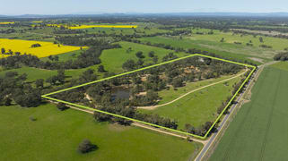 19 Paolini Lane Broken Creek VIC 3673