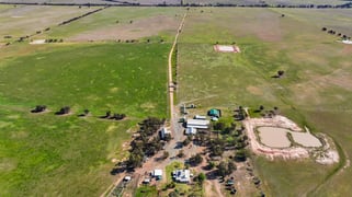 Greendale Aggregation West Wyalong NSW 2671