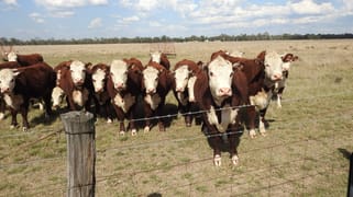 1216 Broadwater Rd Ducklo QLD 4405 1216 Broadwater Rd Ducklo QLD 4405