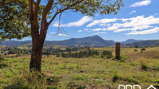 Lynches Creek Road Wiangaree NSW 2474