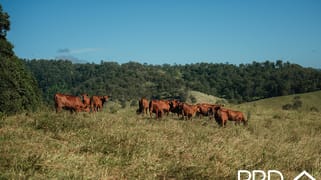 Lot 27, 46 Lynches Creek Road Wiangaree NSW 2474