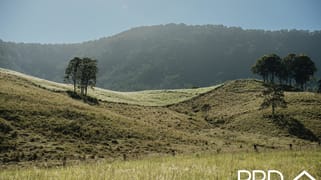 Lot 28, 46 Lynches Creek Road Wiangaree NSW 2474