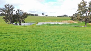 100 Hall Road Moodiarrup WA 6393