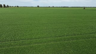 849 Brushwood North Rd Coolamon NSW 2701