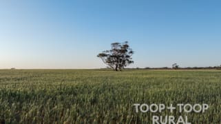 499/ Murbko Road Murbko SA 5320