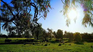 745 Balmattum North Road Balmattum VIC 3666