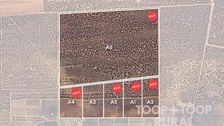 1265/ Warnecke Road Monash SA 5342