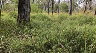 Lot 154 / 764 Hodzic Road Biboohra QLD 4880