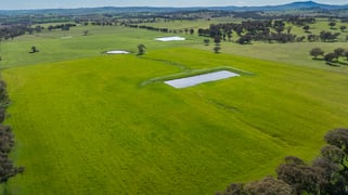 220 Lyons Road Lyndhurst NSW 2797
