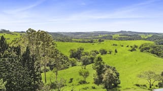 416 Hogan Road Tarzali QLD 4885