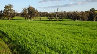 Lot 10661 North Wandering Road Hastings WA 6308