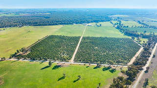 Sepelts Road Barooga NSW 3644