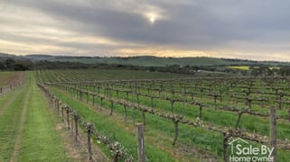 Lot 302 Burra Street Mintaro SA 5415