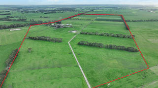 470 Old Irrewillipe Road Bungador VIC 3260