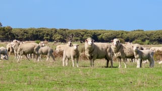 Lot 66 Baxters Hill Road Mount Benson SA 5275