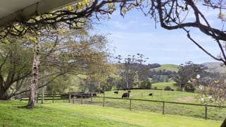 226 Wild Dog Road Strzelecki via Korumburra VIC 3950