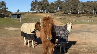 127 Corregans Road Murrumbateman NSW 2582