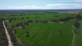 3531 Yetman Road Graman NSW 2360