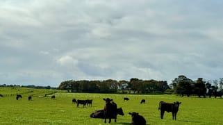Princes Highway Weerite VIC 3260