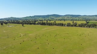 Mahers Road Violet Town VIC 3669