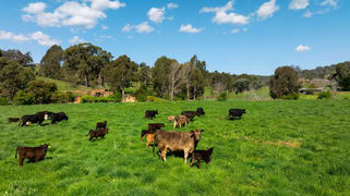 315 Davies Road Warrenbayne VIC 3670