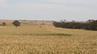 . Cnr Nembudding South Road & Hammond Road Korrelocking WA 6485