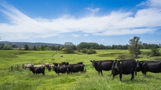 673 Summer Hill Road Vacy NSW 2421 673 Summer Hill Road Vacy NSW 2421