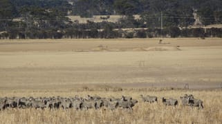 Lot 12520 Great Southern Highway Woodanilling WA 6316
