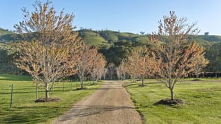 1591 Mansfield-woods Point Road Piries VIC 3723