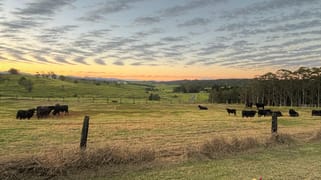 Yungaburra QLD 4884