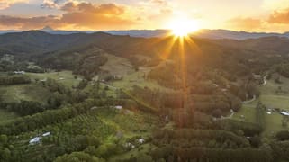 253 Palmvale Road Palmvale NSW 2484