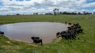 239 Longrail Gully Road Murrumbateman NSW 2582