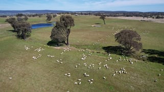 424 Trebane Road Crowther NSW 2803